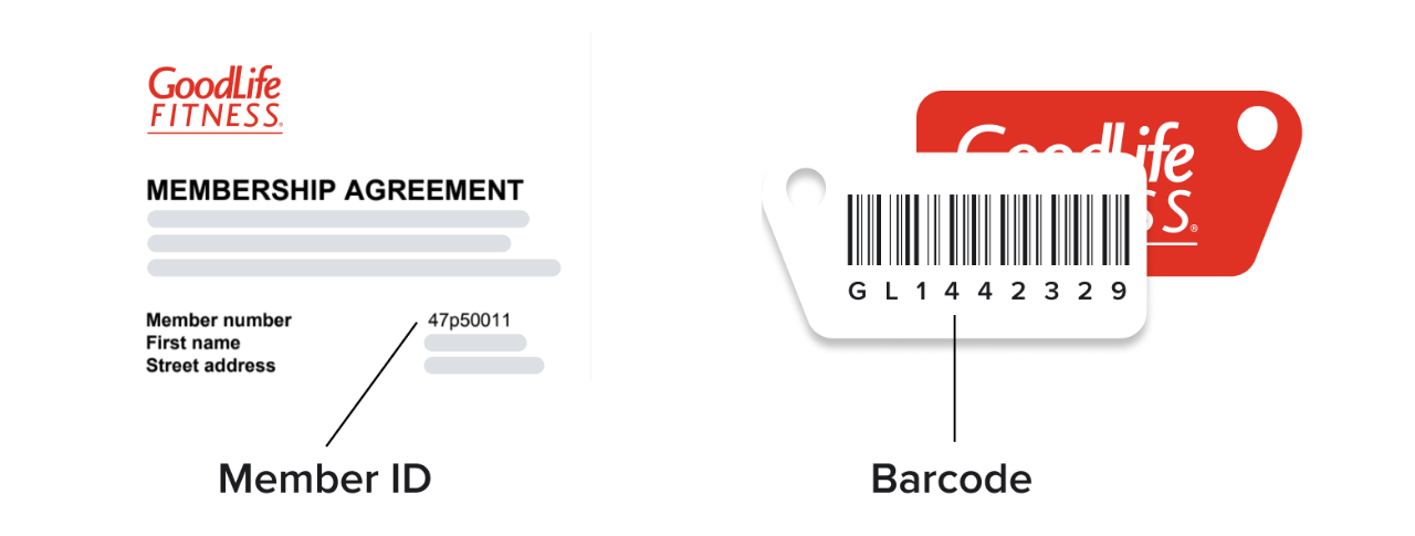 8-digit Member ID is labelled on the Membership Agreement as part of the Member's information. 